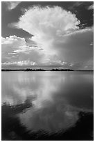 Cumulonimbus clouds, and mangrove-covered islets, Biscayne Bay. Biscayne National Park, Florida, USA. (black and white)