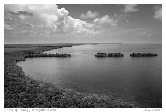 Aerial view of mainland coast near Convoy Point. Biscayne National Park (black and white)