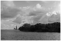 Vegetation and lighthouse, Boca Chita Key. Biscayne National Park ( black and white)