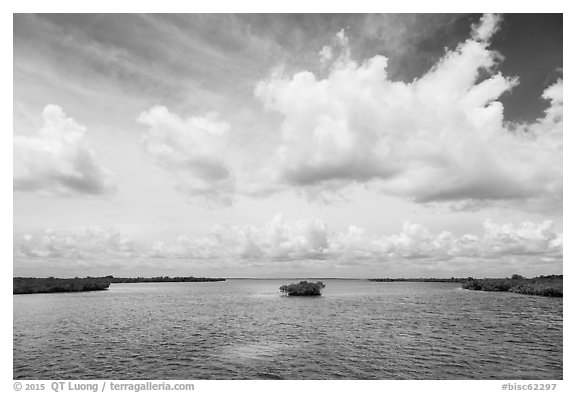 Channel with mangrove islet. Biscayne National Park (black and white)