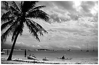 Beach and boats moored in Tortugas anchorage. Dry Tortugas National Park, Florida, USA. (black and white)