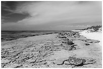 Beach and reef, Loggerhead Key. Dry Tortugas National Park, Florida, USA. (black and white)