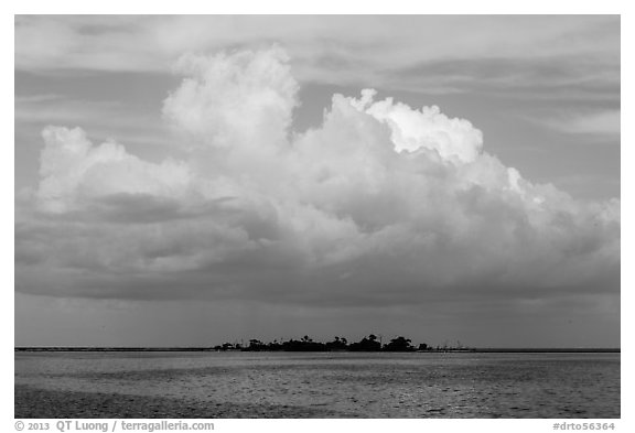 Vegetation-covered Long Key below tropical cloud. Dry Tortugas National Park, Florida, USA.