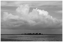 Vegetation-covered Long Key below tropical cloud. Dry Tortugas National Park, Florida, USA. (black and white)