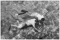 Man and boy seen snorkeling from above. Dry Tortugas National Park, Florida, USA. (black and white)