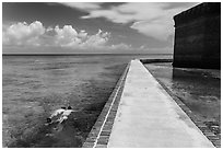 Snorkeling next to Fort Jefferson seawall. Dry Tortugas National Park, Florida, USA. (black and white)