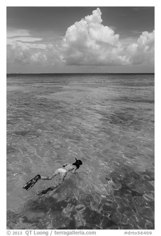 Woman snorkeling. Dry Tortugas National Park, Florida, USA.