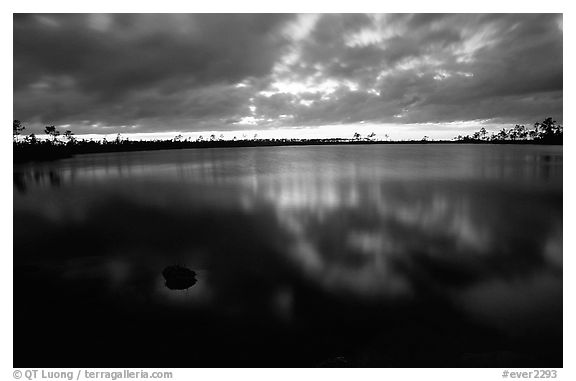 Stormy sunset at Pine Glades Lake. Everglades National Park (black and white)