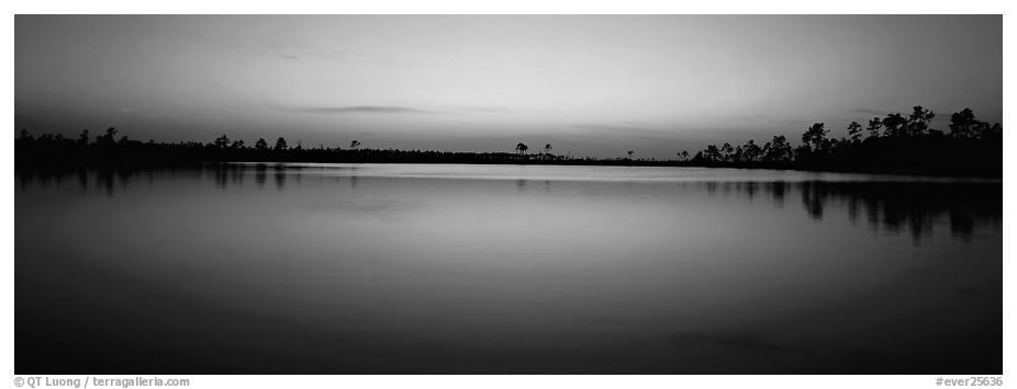 Lake with trees on horizon, dusk. Everglades National Park (black and white)