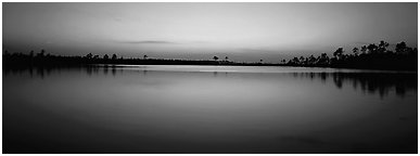 Lake with trees on horizon, dusk. Everglades National Park (Panoramic black and white)