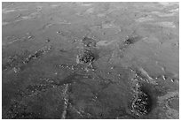 Aerial view of freshwater marl prairie. Everglades National Park ( black and white)