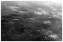 Aerial view of subtropical marsh, trees, and fog. Everglades National Park, Florida, USA. (black and white)