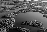 Aerial view of maze of waterways and mangrove islands. Everglades National Park ( black and white)