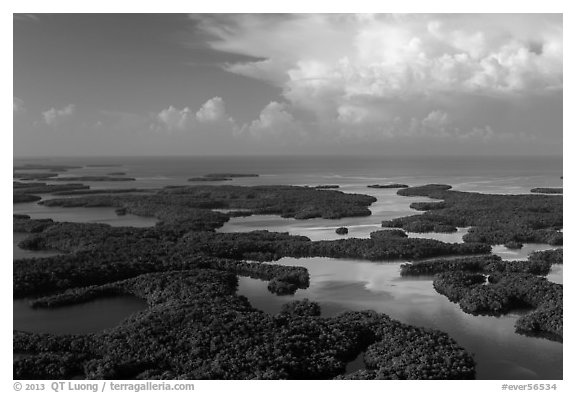 Aerial view of Ten Thousand Islands and Gulf of Mexico. Everglades National Park (black and white)