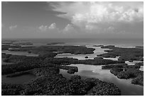 Aerial view of Ten Thousand Islands and Gulf of Mexico. Everglades National Park, Florida, USA. (black and white)