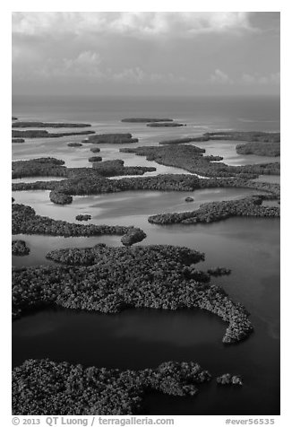 Aerial view of Ten Thousand Islands and coast. Everglades National Park (black and white)