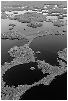 Aerial view of mosaic of lakes and and vegetation. Everglades National Park ( black and white)
