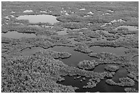Aerial view of lakes, mangroves and cypress. Everglades National Park ( black and white)