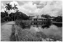 Anhinga Trail, Royal Palms Visitor Center. Everglades National Park ( black and white)