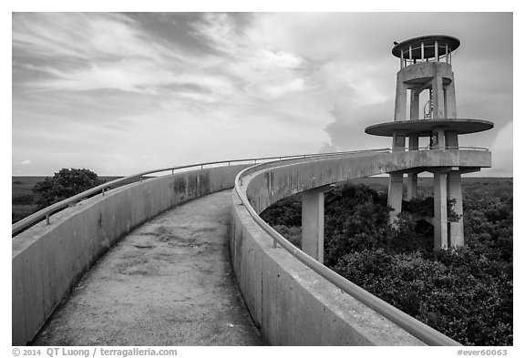 Shark Valley observation tower. Everglades National Park (black and white)