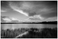 Nine-Mile Pond at sunrise. Everglades National Park ( black and white)
