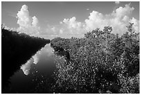 Buttonwood Canal and clouds. Everglades National Park ( black and white)