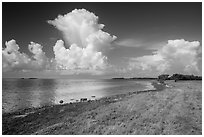 Coastal prairie, Florida Bay, and clouds. Everglades National Park ( black and white)