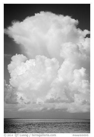 Summer clouds above waters, Florida Bay. Everglades National Park (black and white)