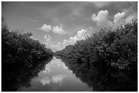 Water-level view of Buttonwood Canal. Everglades National Park ( black and white)