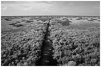 Aerial view of canal and road, Shark Valley. Everglades National Park ( black and white)