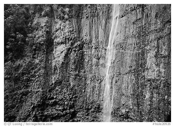 Waimoku Falls, more than 300 feet high. Haleakala National Park (black and white)