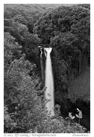 Makahiku Falls. Haleakala National Park, Hawaii, USA.