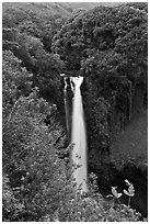 Makahiku Falls. Haleakala National Park, Hawaii, USA. (black and white)