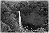 Makahiku falls plunging off a lush, green cliff. Haleakala National Park, Hawaii, USA. (black and white)