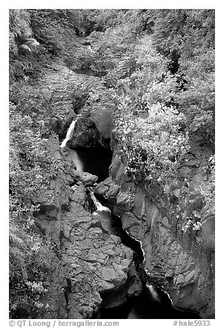 Gorge carved by Ohe o stream. Haleakala National Park (black and white)