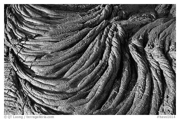 Rope-like hardened pahoehoe lava. Hawaii Volcanoes National Park (black and white)