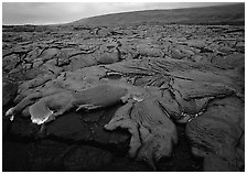 Field of lava flowing at dusk near end of Chain of Craters road. Hawaii Volcanoes National Park, Hawaii, USA. (black and white)