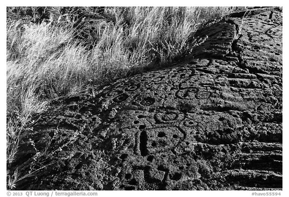 Lava slab covered with petroglyphs. Hawaii Volcanoes National Park (black and white)