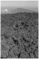 Field of rough aa lava on Mauna Loa summit and Puu Waawaa. Hawaii Volcanoes National Park, Hawaii, USA. (black and white)