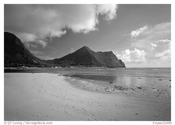 Sand beach in Vatia Bay, Tutuila Island. National Park of American Samoa (black and white)