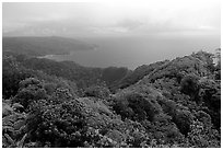 View from Mont Alava, Tutuila Island. National Park of American Samoa (black and white)