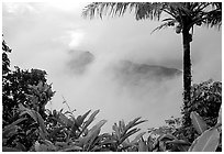 Clearing clouds from Mont Alava, Tutuila Island. National Park of American Samoa ( black and white)