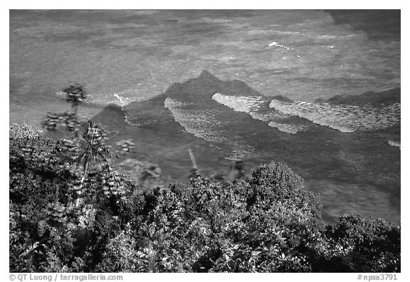 Tropical vegetation and turquoise waters in Vatia Bay, Tutuila Island. National Park of American Samoa (black and white)