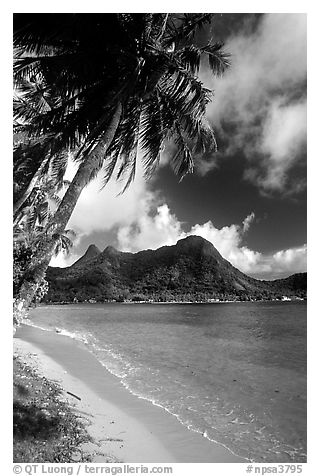 Palm-fringed beach in Vatia Bay, Tutuila Island. National Park of American Samoa (black and white)