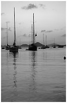 Sailboats in Cruz Bay harbor at sunset. Virgin Islands National Park, US Virgin Islands. (black and white)