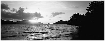 Sun rising across bay. Virgin Islands National Park (Panoramic black and white)