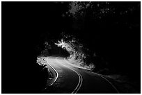 Centerline road at night. Virgin Islands National Park ( black and white)