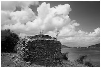 Leprosiarum building, Hassel Island. Virgin Islands National Park ( black and white)