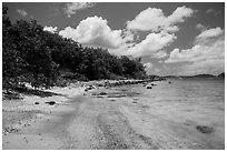 Shoreline and reef, Hassel Island. Virgin Islands National Park ( black and white)