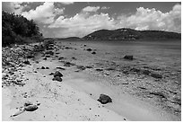 Beach, Hassel Island. Virgin Islands National Park ( black and white)